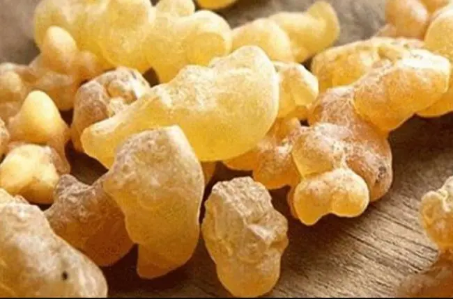 فوائد لبان الذكر للرجال؛ إليك الكثير من منافعه