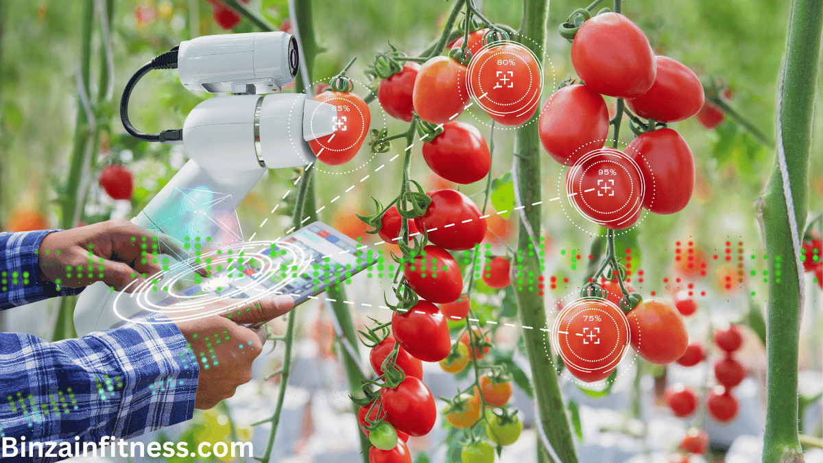 التغذية الذكية والتكنولوجيا المساعدة في المراقبة وتحسين الغذاء