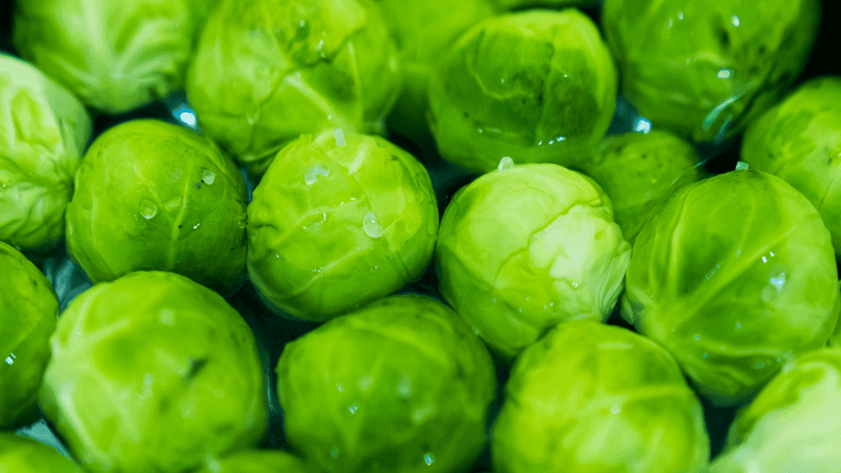 تعرف على افضل خضرة يأكلونها المحترفين في وقت التنشيف!