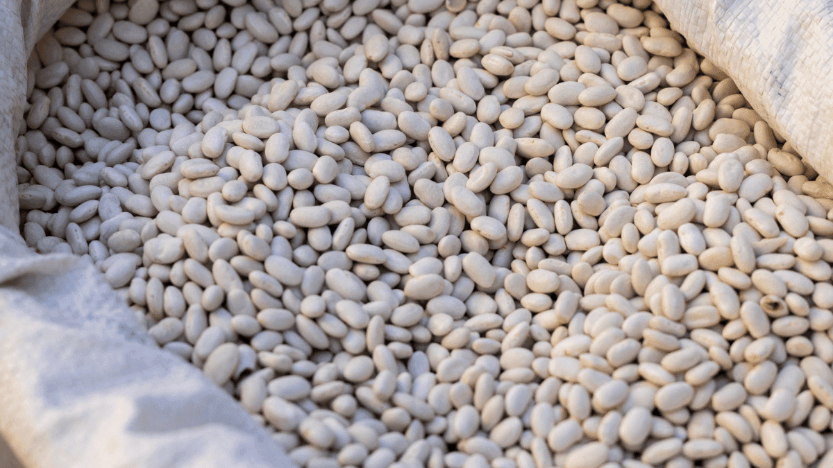 تعرف على الاكلة اللي تساعد على نزول الوزن !!! ..معقول؟!